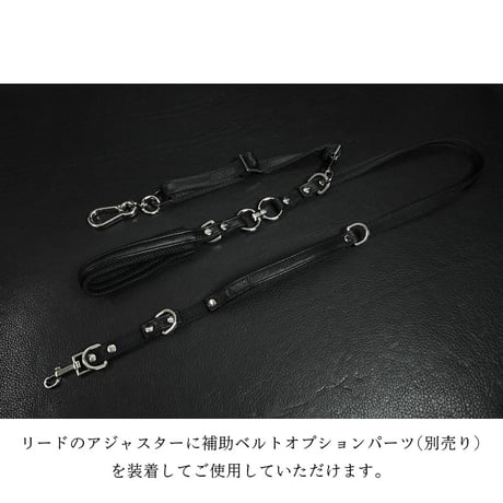 21mm Sheet Woven Nylon Belt Dog Leash