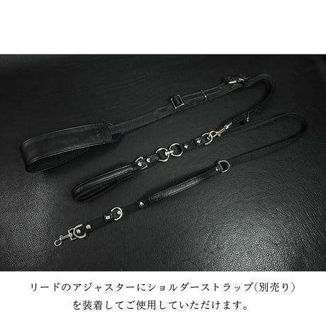 21mm Sheet Woven Nylon Belt Dog Leash