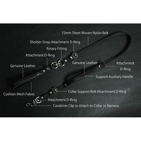 21mm Sheet Woven Nylon Belt Dog Leash
