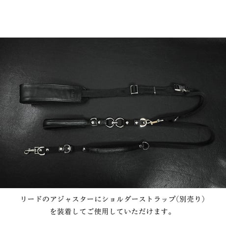 21mm Sheet Woven Nylon Belt Dog Leash