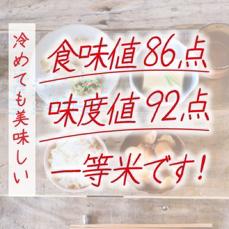 令和6年度 岐阜県産 数量限定 希少コシヒカリ はちたか米10kg 令和6年度 岐阜県産 数量限定 希少コシヒカリ はちたか米10kg