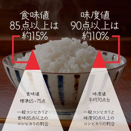 令和５年度　岐阜県産　数量限定　希少コシヒカリ　はちたか米10ｋｇ