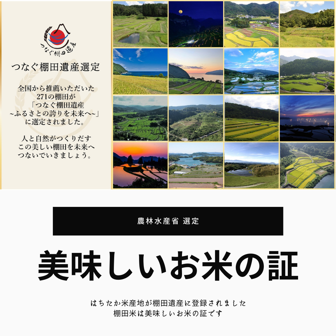 令和6年度 岐阜県産 数量限定 希少コシヒカリ はちたか米10kg 令和6年度 岐阜県産 数量限定 希少コシヒカリ はちたか米10kg