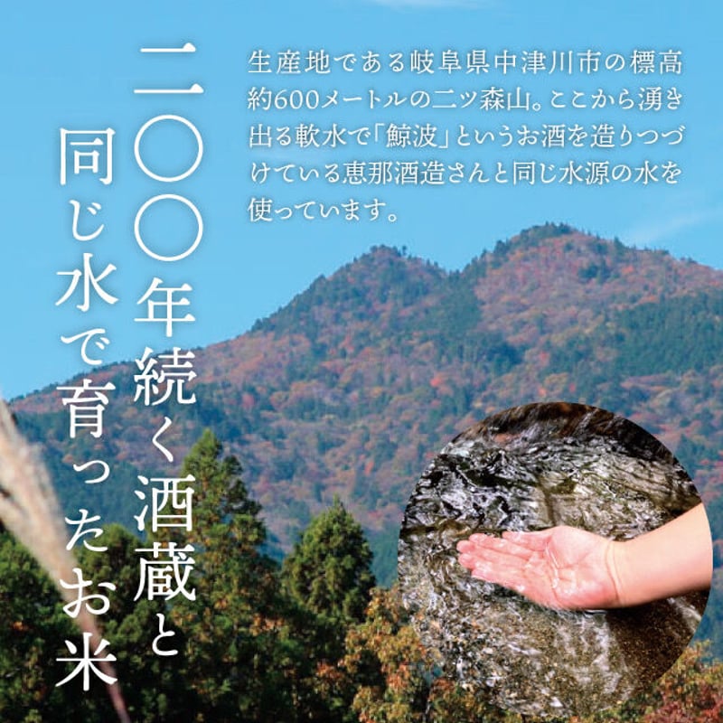 令和6年度 岐阜県産 数量限定 希少コシヒカリ はちたか米10kg 令和6年度 岐阜県産 数量限定 希少コシヒカリ はちたか米10kg