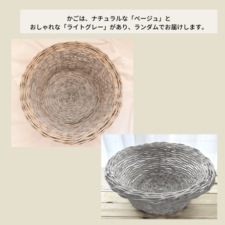 【即日枠】ホワイトリース