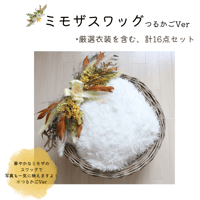 【即日枠】ミモザスワッグ(つるかごVer)