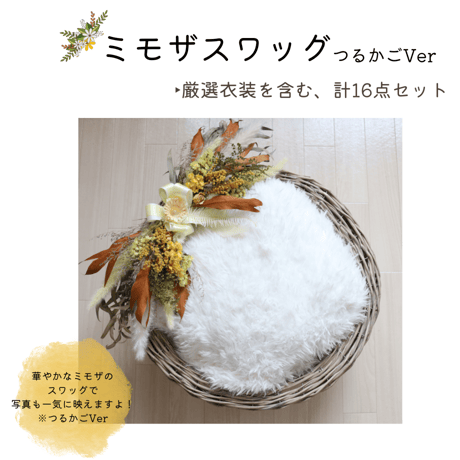 【ご予約枠】ミモザスワッグ(つるかごVer)