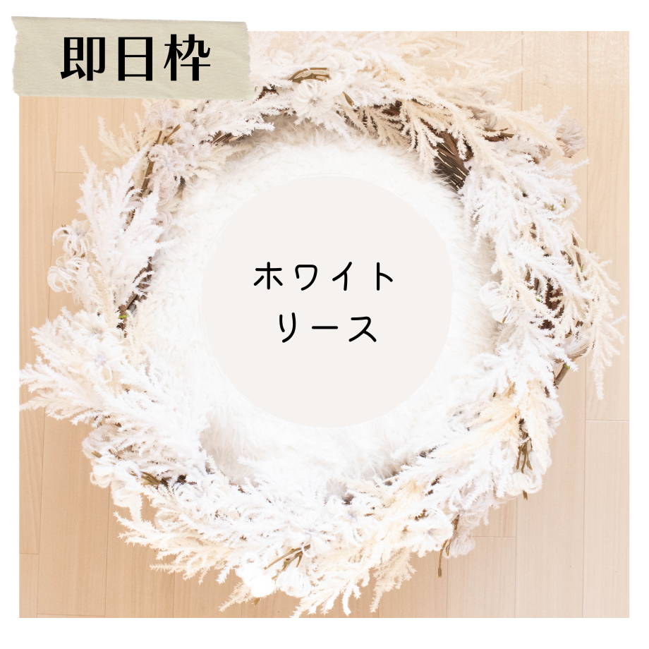 61ac29b3d26fa55dc14d69f9