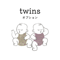twins専用オプション