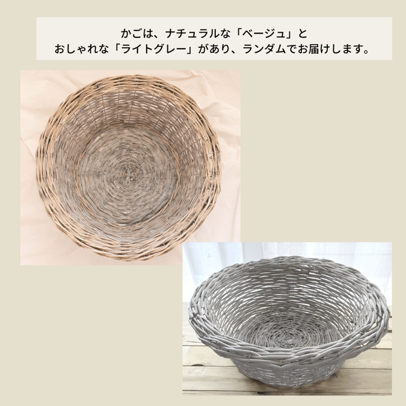 ラタン ニューボーンフォト バスケット、ベッド Basket/Bed