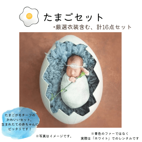 【即日枠】たまごセット