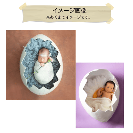 【即日枠】たまごセット