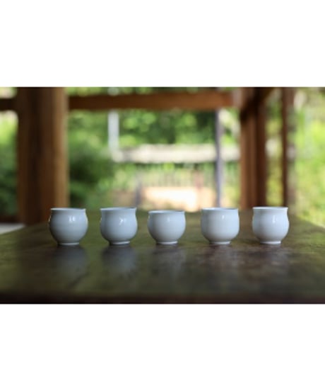 281_茶杯f