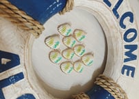 ハンドメイドパーツ 天然貝殻チャーム ホヌ | Aloha⚓︎Uncle