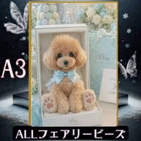 ✨遂に登場！『全色！フェアリーダストビーズ』（A3サイズ）fairydust603