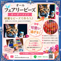 【ALLフェアリーダストオーダーメイド】（フルビーズ）本文要チェック☆
