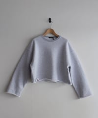 YLEVE/HEAVYWEIGHT FLEECE BLEACH P/O