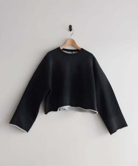 YLEVE/HEAVYWEIGHT FLEECE BLEACH P/O