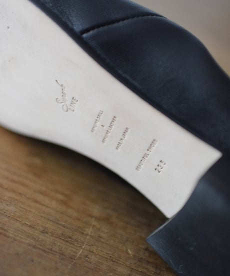 BEAUTIFUL SHOES/BALLET SHOES