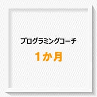 プログラミングサポート【1か月】
