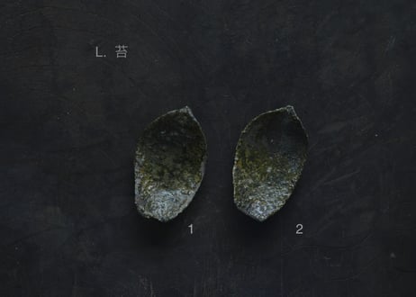 蓮弁 L. 苔