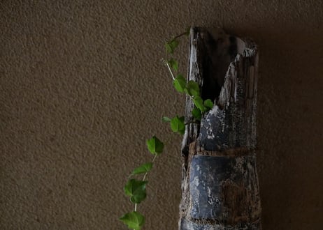 hakomono / 4-1 掛け花入 木枯花花入
