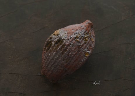 蓮弁  K-a  唐茶