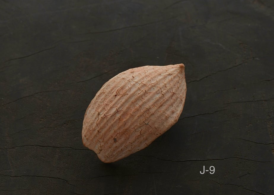 657bce4cb14f5809ca045729