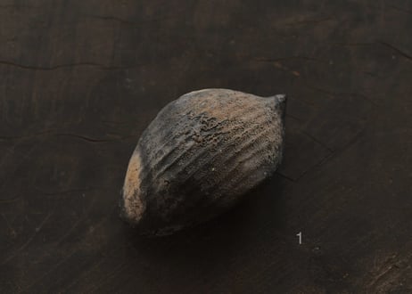 蓮弁 M . 炭化黒　窯変