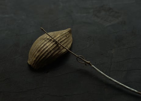 蓮弁 A. 金彩