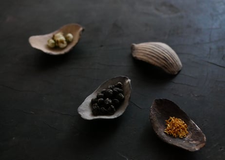 蓮弁 L. 苔