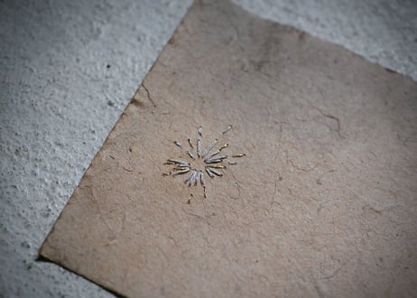 D-2  時結の薫   -ときゆいのかおり-（お茶単品＋茶敷き紙 2点組）/ 橘 美彩