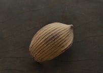 蓮弁 G-b . 伽羅