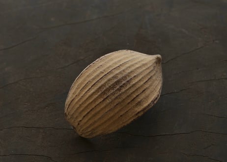 蓮弁 G-b . 伽羅