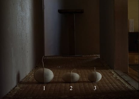Kotaro Ogura / 1 関守木 (大)
