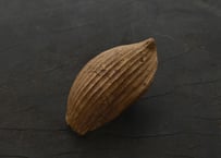 蓮弁 A. 金彩