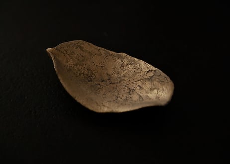 B. 茶の露と蓮弁 ２点セット  〜玉露〜