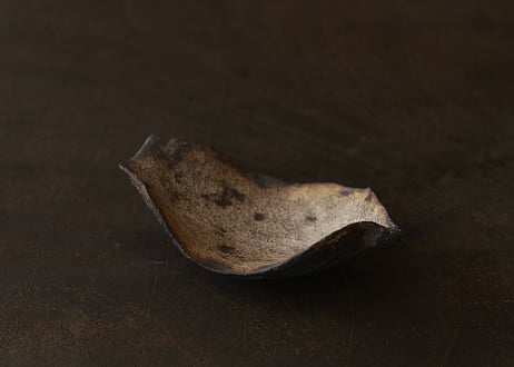 蓮弁 E. 銀彩