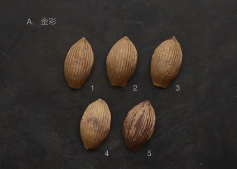 蓮弁 A. 金彩