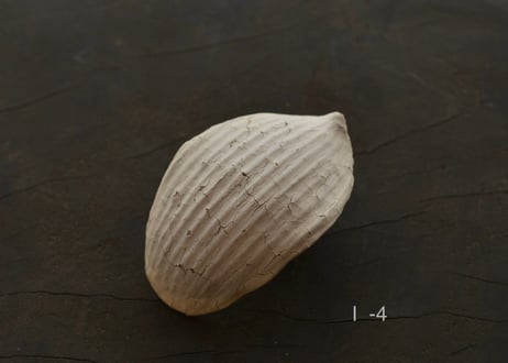 蓮弁  I . 白枯 / 白
