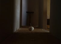Kotaro Ogura / 1 関守木 (大)