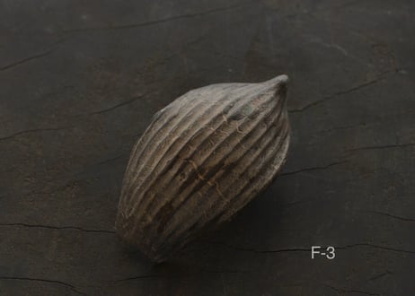 蓮弁 F. 白銀鼠  枯銀彩