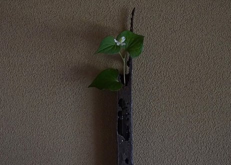hakomono / 5-2 掛け花入 漂流鉄