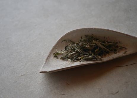 吉田香楠子 / 17-1 白化粧楢灰 茶則
