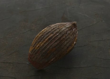 蓮弁 C. 枯漆  微金彩