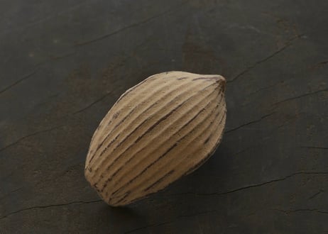 蓮弁 G-a. 伽羅
