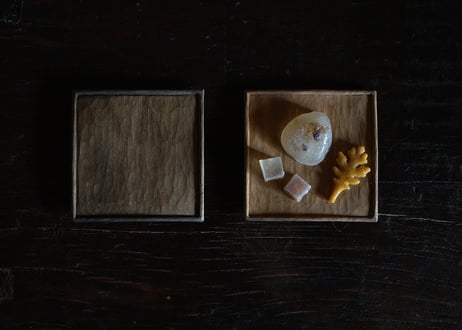 菅野 和正 / 27　【 数量限定 受注制 / 納期2〜3ヶ月 】茶托・豆皿　桜  鉄媒染  / 無垢