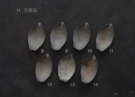 蓮弁 H. 白銀鼠