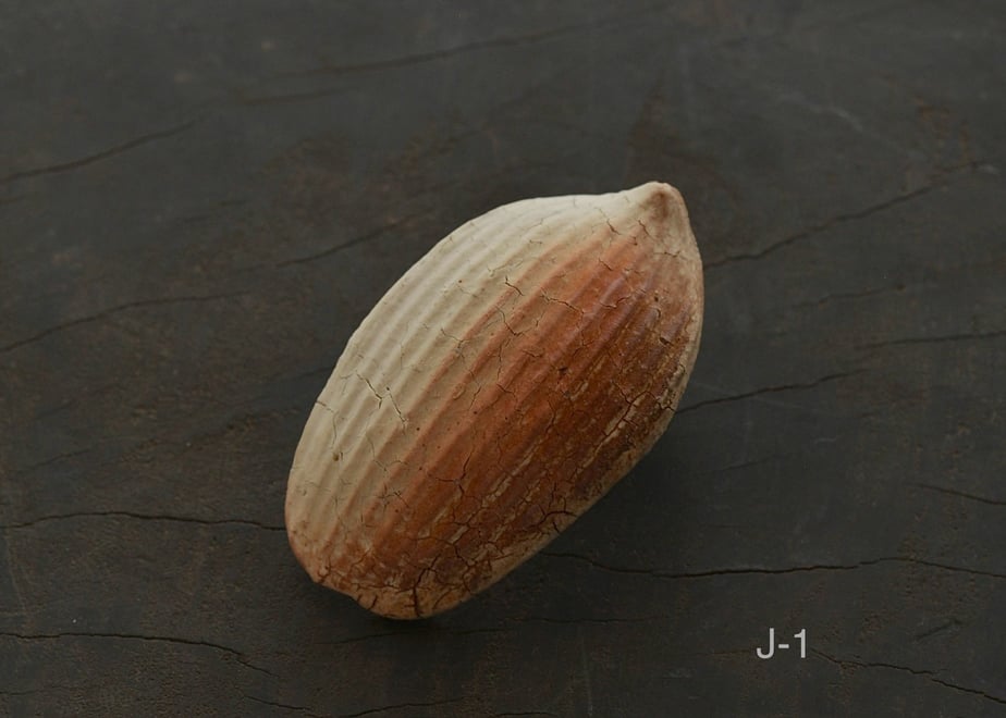657bce4cb14f5809ca045729