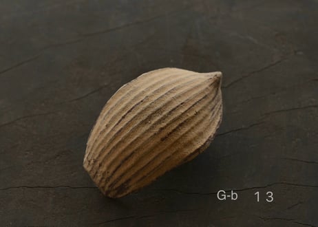 蓮弁 G-b . 伽羅